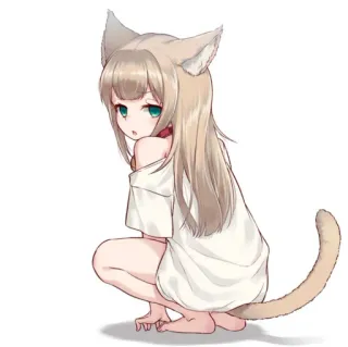 🧋 Anime, Catgirl, Neko, Kawaii, Manga, Kemonomimi, Carino whatsapp sticker