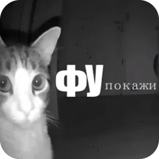 Больше стиков тут: @stikery4 telegram stickers