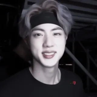 🌟 Jin kpop, cantante, artista, musica, celebrità, idol telegram sticker