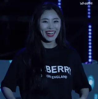 🇶🇦 BERRY LONDON ENGLAND mulher, camiseta, roupa, retrato, moda, pessoa, coreano whatsapp sticker