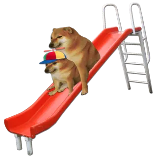 🎢 doge, cheems, 犬, スライド, ミーム, 帽子 telegram sticker
