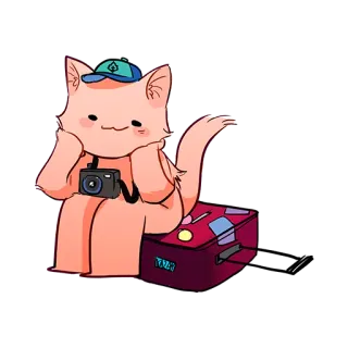 💼 Katze, Kamera, Reisen, Koffer, Urlaub, süß, Cartoon telegram sticker