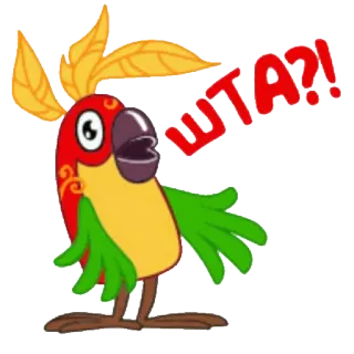 ❓ WTA?! pappagallo, cartone animato, adesivo, uccello telegram sticker