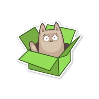 😊 gatto, scatola, animale, animale domestico, carino, divertente, cartone animato telegram sticker