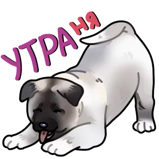 🌅 УТРА НА cane, cucciolo, stiramento, mattina, animale, carino telegram sticker