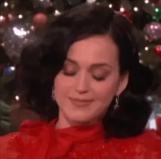 ✨ Katy Perry 凯蒂·佩里, 歌手, 名人, 流行歌星, 圣诞节 whatsapp sticker