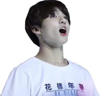 😮 花様年華 ON STAGE kpop, singer, asian, idol, music, performance telegram sticker