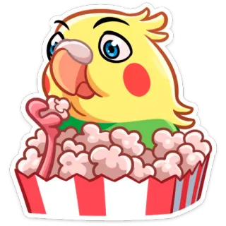 🍿 นก, ค็อกคาเทล, ข้าวโพดคั่ว, การ์ตูน, ขนม, น่ารัก, สัตว์ telegram sticker