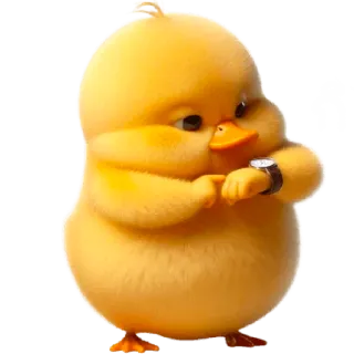 🕰 กี pato, lindo, animal, amarillo, pájaro, dibujos animados telegram sticker