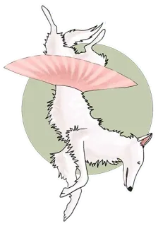 😔 chien, tutu, ballerine, animal, blanc telegram sticker