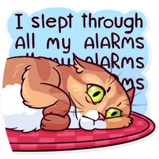 Meme Cats telegram stickers