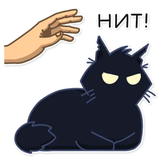 ❌ НИТ! cat, hand gesture, OK sign, dark, animal, cute, sticker telegram sticker