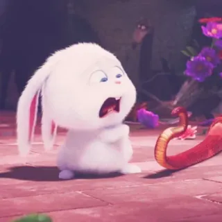 ☁️ Snowball The Secret Life of Pets lapin, lapin, serpent, effrayé, choqué whatsapp sticker