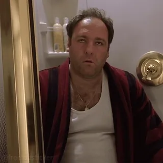 😵💫 Tony Soprano The Sopranos telegram sticker