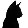 🐈