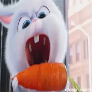 😡 Snowball The Secret Life of Pets #THESECRETLIFEOPPETS conejo, conejito, zanahoria, película, animal, dibujos animados telegram sticker