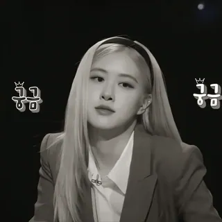 🐢 궁금 Rose, Blackpink, Kpop, 歌手, 偶像, 名人 whatsapp sticker