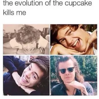🍦 Harry Styles the evolution of the cupcake kills me Harry Styles, singer, evolution, cupcake, humor, meme telegram sticker