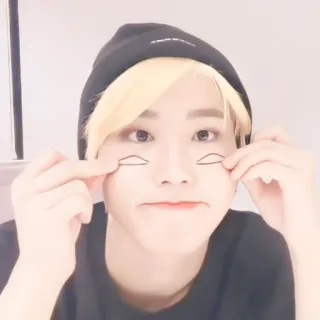 🐿 whatsapp sticker