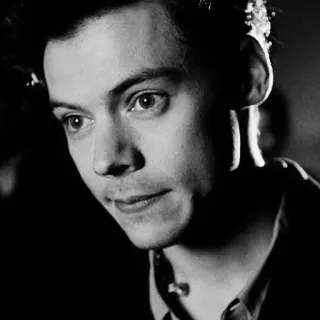 🎵 Harry Styles singer, portrait, celebrity, black and white, musician telegram sticker