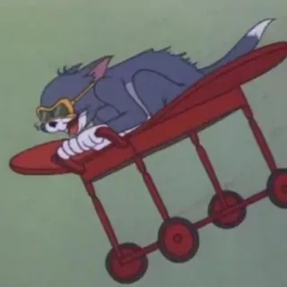 ✈️ Tom Tom and Jerry Desenho animado, Gato, Voando, Avião, Aviação, Animal, Humor telegram sticker