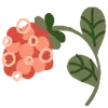 🍓