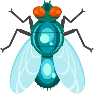 😨 муха, насекомое, животное, жук, вредитель, летающее насекомое telegram sticker