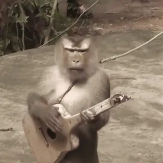 🎸 aap, gitaar, dier, muziek, grappig, meme telegram sticker