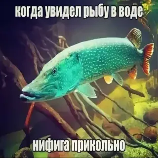 Больше стиков тут: @stikery4 telegram stickers