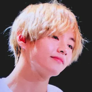 🐯 kpop, idol, penyanyi, v, bts, pria, pirang telegram sticker