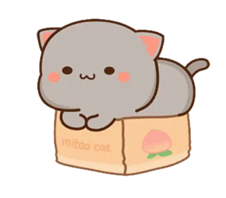 🍑 mitao cat chat, mignon, dessin animé, animal, kawaii, boîte, pêche whatsapp sticker