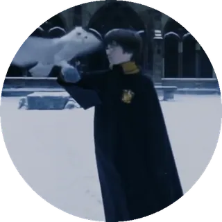 🌟 Harry Potter Harry Potter, uil, sneeuw, tovenaar, magie telegram sticker