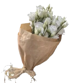 🐚 flowers, bouquet, white flowers, gift, floral arrangement, wrapped bouquet, eustoma, lisianthus telegram sticker