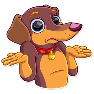 🤷 สุนัข, ดัชชุน, ยักไหล่, ไม่แน่ใจ, การ์ตูน, สติกเกอร์ telegram sticker