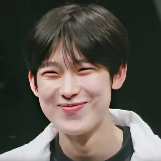 🍲 face, smiling, Korean, person, portrait telegram sticker