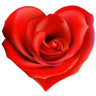 ❤ роза, цветок, красный, сердце, любовь, день святого валентина telegram sticker