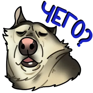 ⁉️ чего? cane, russo, domanda, meme, animale, espressione, carino telegram sticker