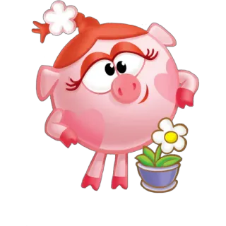 🌸 whatsapp sticker