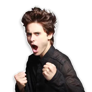 👊 telegram sticker