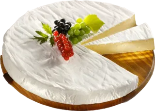 🧀 kaas, brie, zuivel, eten telegram sticker