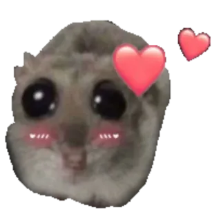 💕 햄스터, 귀여운, 사랑, 하트 whatsapp sticker