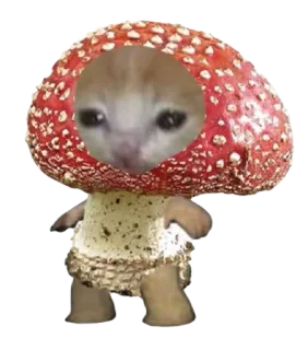 🍄 猫, 蘑菇, 表情包, 伤心猫, 蘑菇, 动物, 可爱, 宠物 telegram sticker