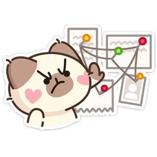🐱 sticker, katze, mittelfinger, beleidigend, wütend, ermittlung, pinnwand telegram sticker