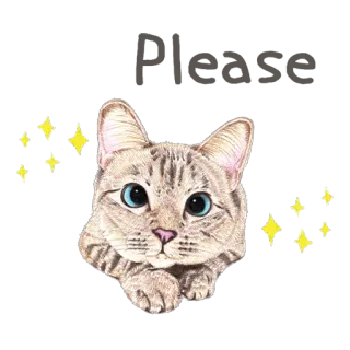 😌 고양이, 동물, 귀여운, 별, 반려묘, 애완동물, 스티커 telegram sticker