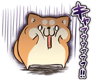 🐶 キャァァァァァァ！！ Shiba Inu, Hund, süß, Tier, Meme, japanisch telegram sticker