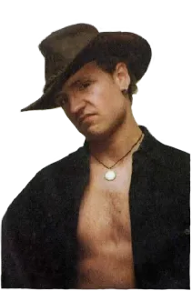 🤠 homem, chapéu, camisa, colar, retrato telegram sticker
