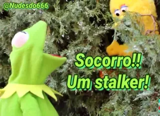 Kermit, the frog 4 🐸 whatsapp stickers