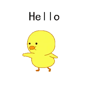🐥 Hello pato, olá, saudação, fofo, desenho animado, animal, amarelo telegram sticker