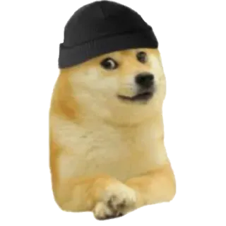 😄 telegram sticker