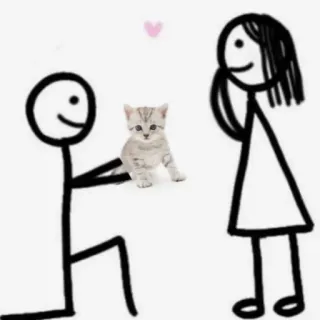 💍 человечек, кот, любовь, предложение, милый, питомец telegram sticker